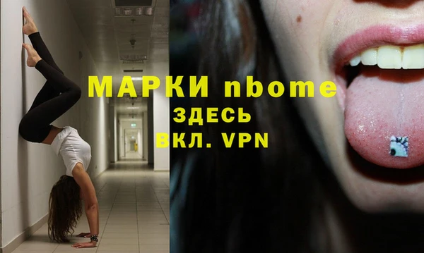 крисы Алзамай