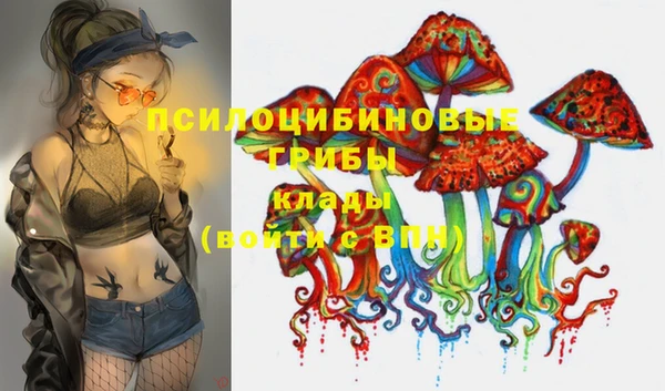 таблы Алексеевка