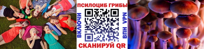 нарко площадка Telegram MEGA ссылки Сясьстрой наркота Псилоцибиновые грибы Psilocybe