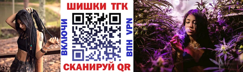 Каннабис планчик  Сясьстрой 